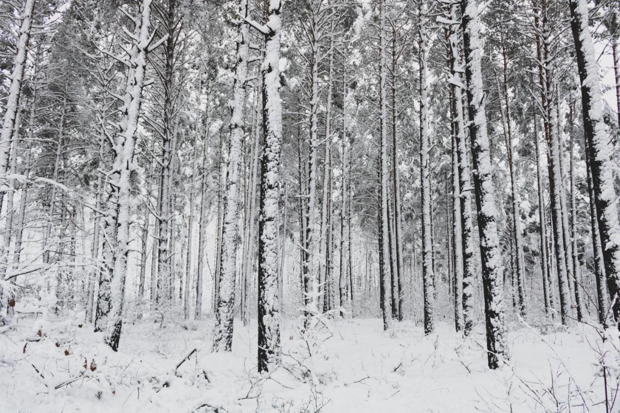 Jarzebinowa - Dom Do Wynajecia Na Podlasiu Luka Buitenkant foto