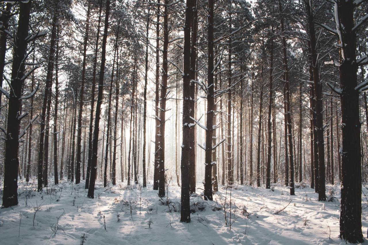 Jarzebinowa - Dom Do Wynajecia Na Podlasiu Luka Buitenkant foto
