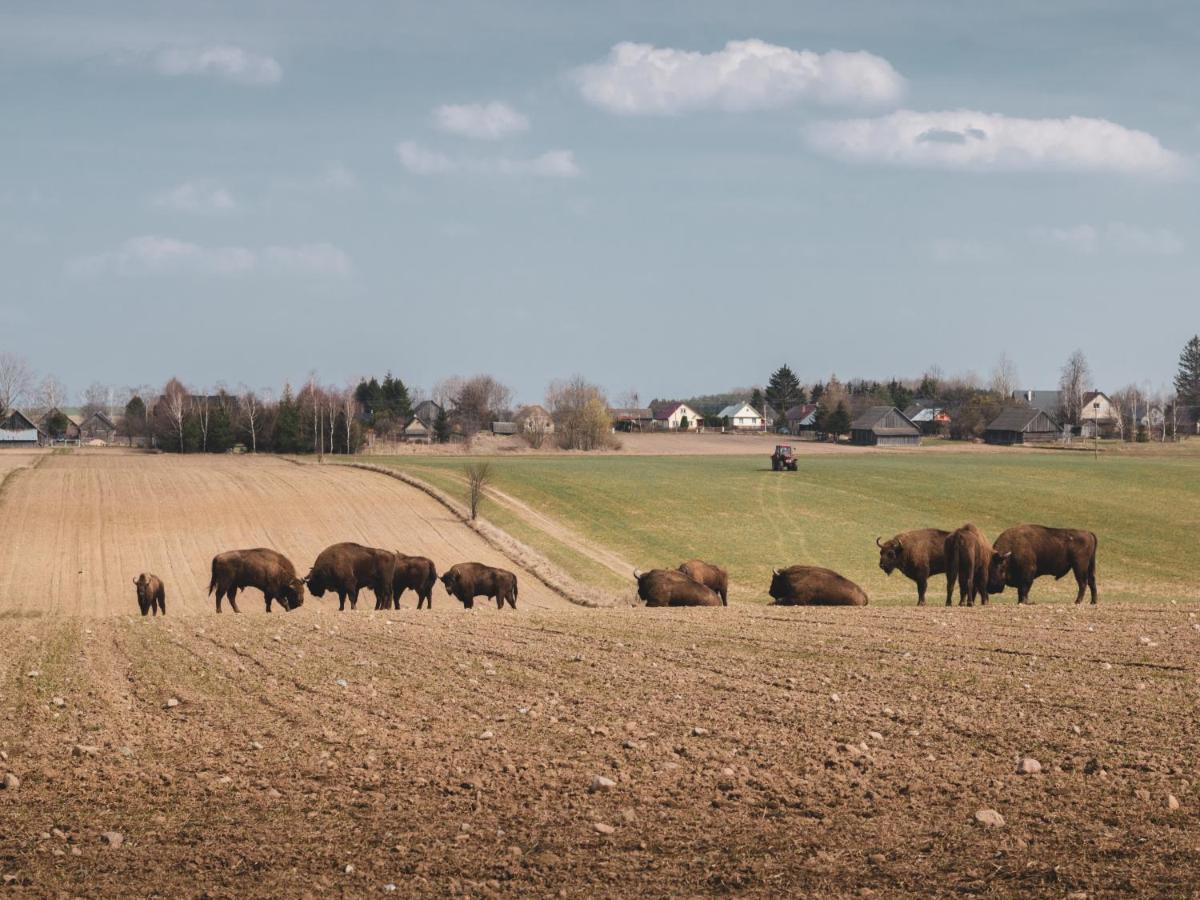 Jarzebinowa - Dom Do Wynajecia Na Podlasiu Luka Buitenkant foto